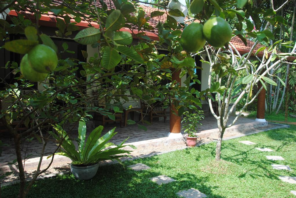 Aknara Rest Hotel Weligama Ngoại thất bức ảnh
