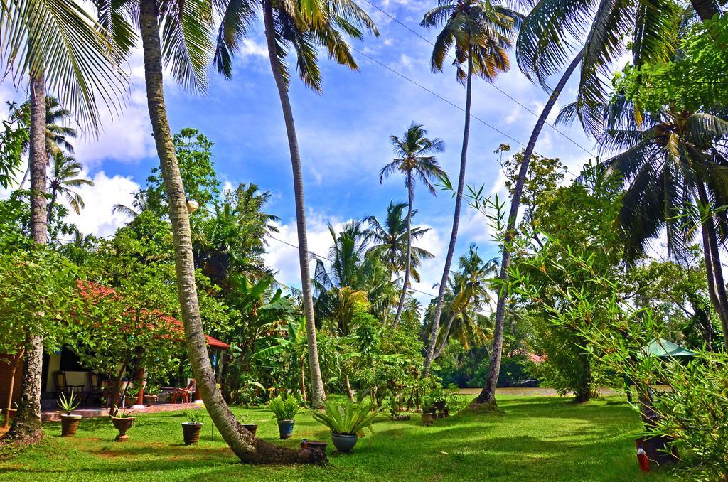 Aknara Rest Hotel Weligama Ngoại thất bức ảnh